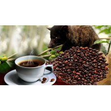Кофе в зернах KOPI LUWAK CHON 500 гр Кофе в зернах KOPI LUWAK CHON 500 гр