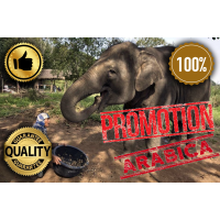 Кофе из желудка слона CA PHE VOI BLACK IVORY COFFEE ARABICA 500 гр